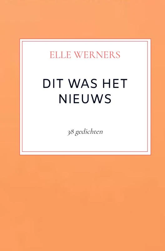 DIT WAS HET NIEUWS – boek cover