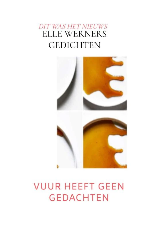 VUUR HEEFT GEEN GEDACHTEN – boek cover