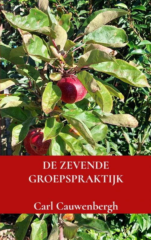 De zevende groepspraktijk – Carl Cauwenbergh – boek cover