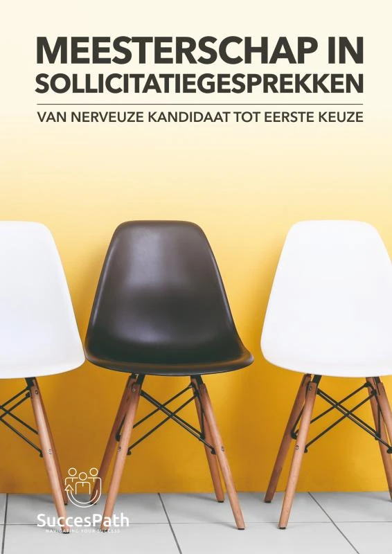 Meesterschap in Sollicitatiegesprekken – Andy De Bondt – boek cover