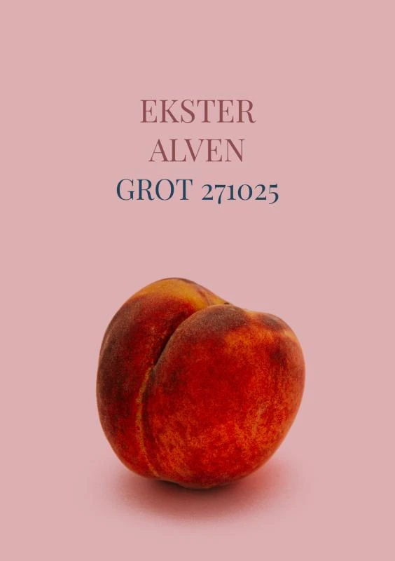 Grot 271025 – Ekster Alven – boek cover