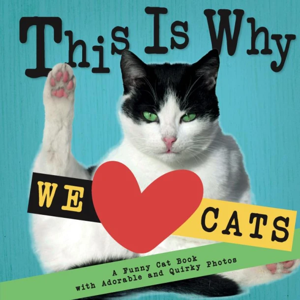 This Is Why We Love Cats – Emily Johnson – boek cover
