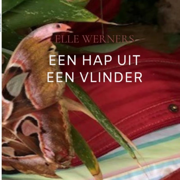 EEN HAP UIT EEN VLINDER – boek cover