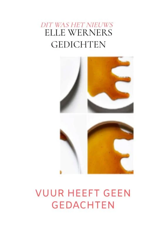 VUUR HEEFT GEEN GEDACHTEN – boek cover