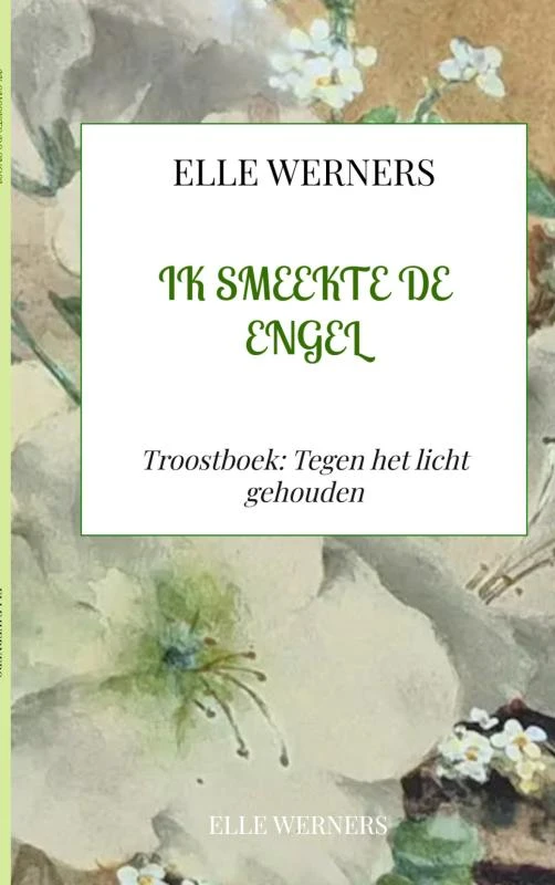 IK SMEEKTE DE ENGEL – boek cover