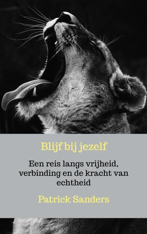 Blijf bij jezelf – Patrick Sanders – boek cover