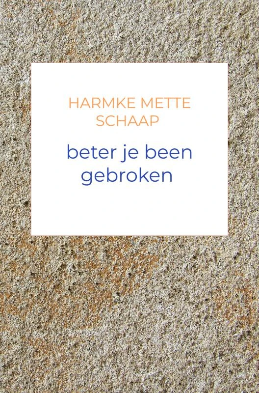 beter je been gebroken – Harmke Mette Schaap – boek cover