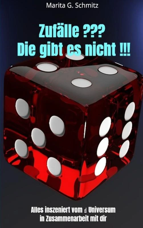 Zufälle ??? Die gibt es nicht !!! – Marita G. Schmitz – boek cover