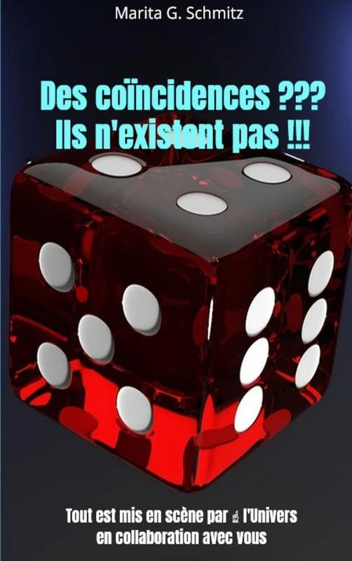 Des coïncidences ??? Ils n'existent pas !!! – Marita G. Schmitz – boek cover