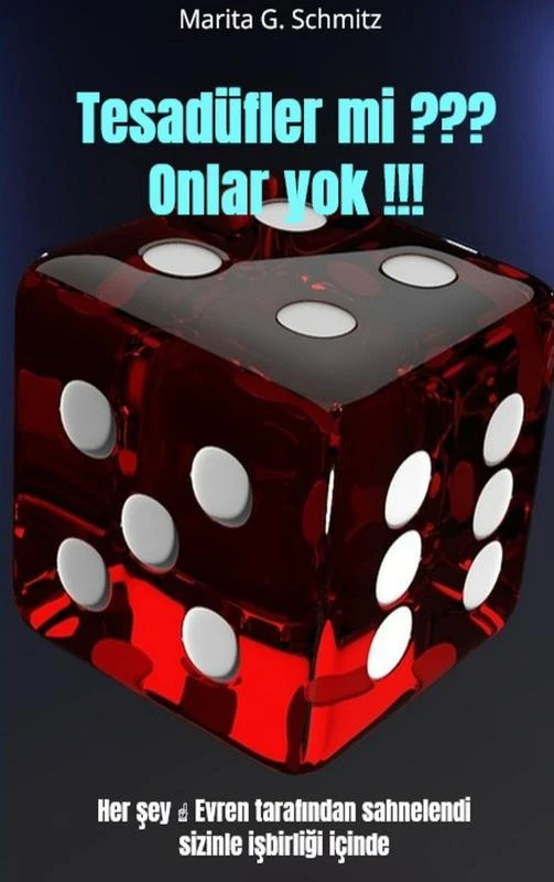 Tesadüfler mi ??? Onlar yok !!! – Marita G. Schmitz – boek cover