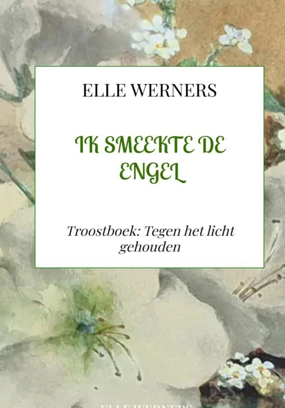 IK SMEEKTE DE ENGEL – boek cover