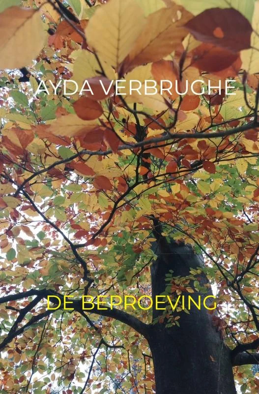 De Beproeving – Ayda Verbrughe – boek cover