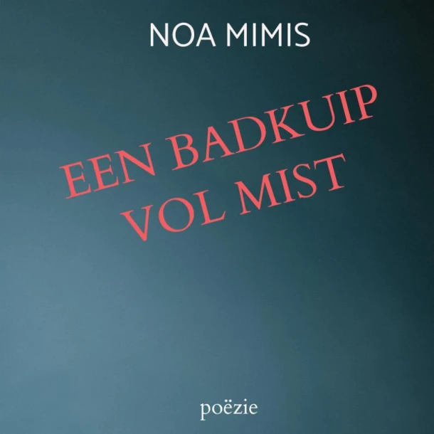 EEN BADKUIP VOL MIST – Noa Mimis – boek cover