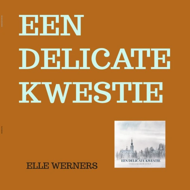 EEN DELICATE KWESTIE – boek cover