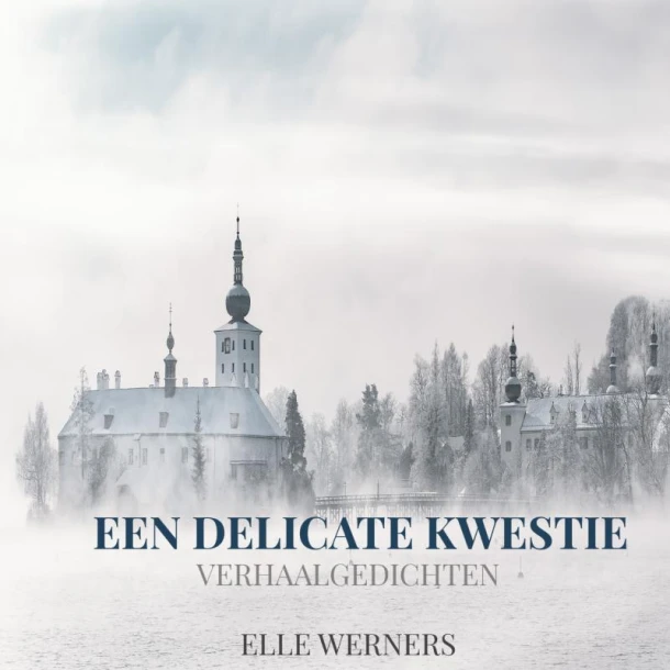 EEN DELICATE KWESTIE – boek cover