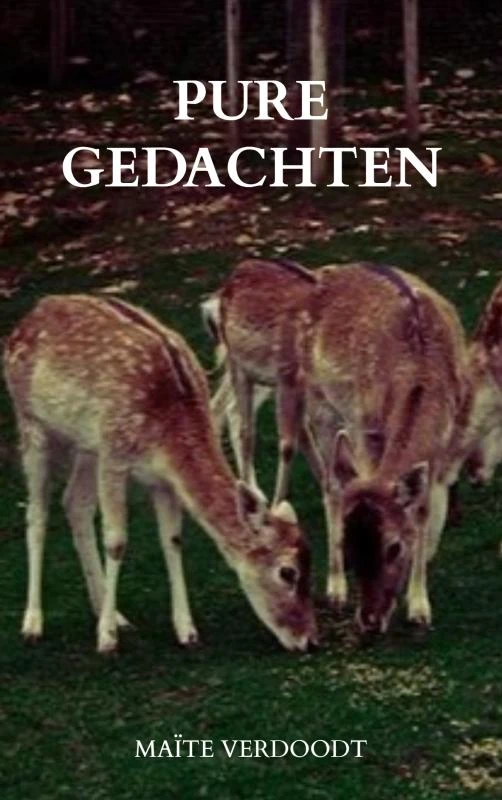 Pure gedachten – Maïte Verdoodt – boek cover