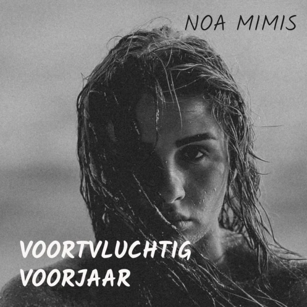 VOORTVLUCHTIG VOORJAAR – Noa Mimis – boek cover