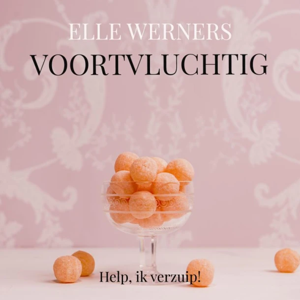 VOORVLUCHTIG – boek cover