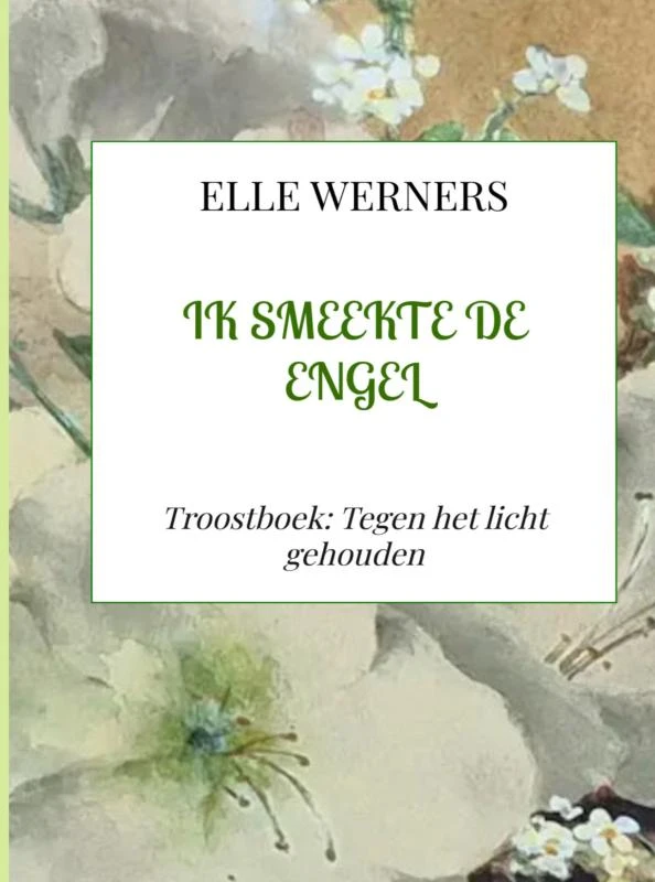 IK SMEEKTE DE ENGEL – boek cover
