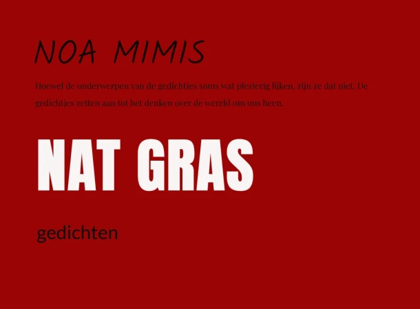 NAT GRAS – Noa Mimis – boek cover