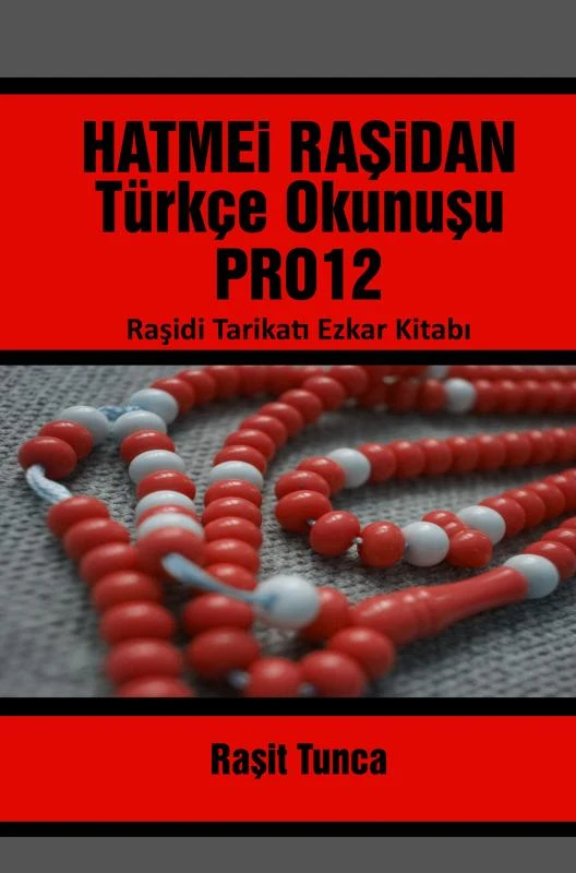 HATMEi RA¿iDAN PRO12 TÜRKÇE OKUNU¿U – Ra¿it Tunca – boek cover