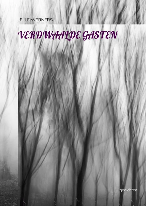 VERDWAALDE GASTEN – boek cover