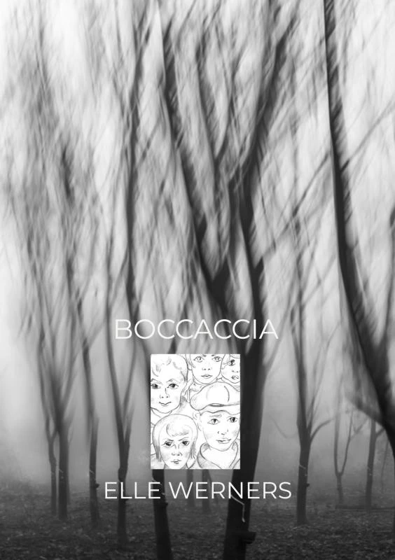 BOCCACCIA – boek cover