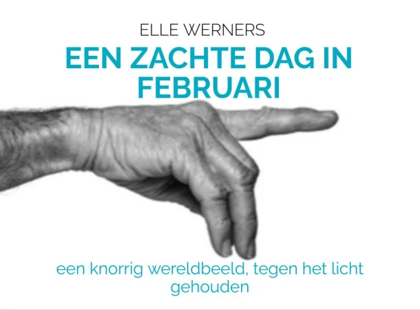EEN ZACHTE DAG IN FEBRUARI – boek cover