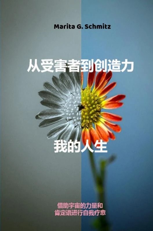 Cóng shòuhài zh¿ dào chuàngzào lì-w¿ de rénsh¿ng – Marita G. Schmitz – boek cover