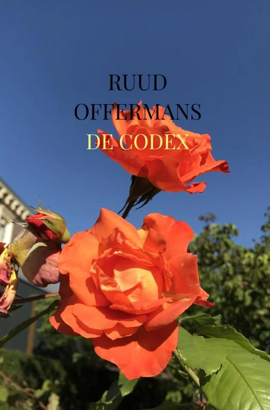 De Codex – Ruud Offermans – boek cover