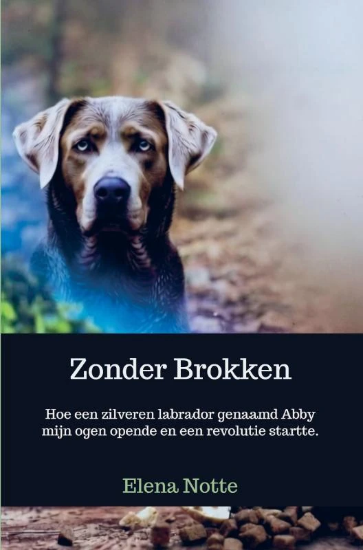 Zonder Brokken – Elena Notte – boek cover