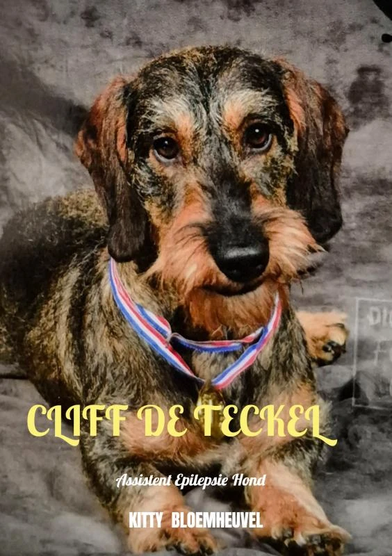 Cliff de Teckel, een hond van goud – Kitty Bloemheuvel – boek cover