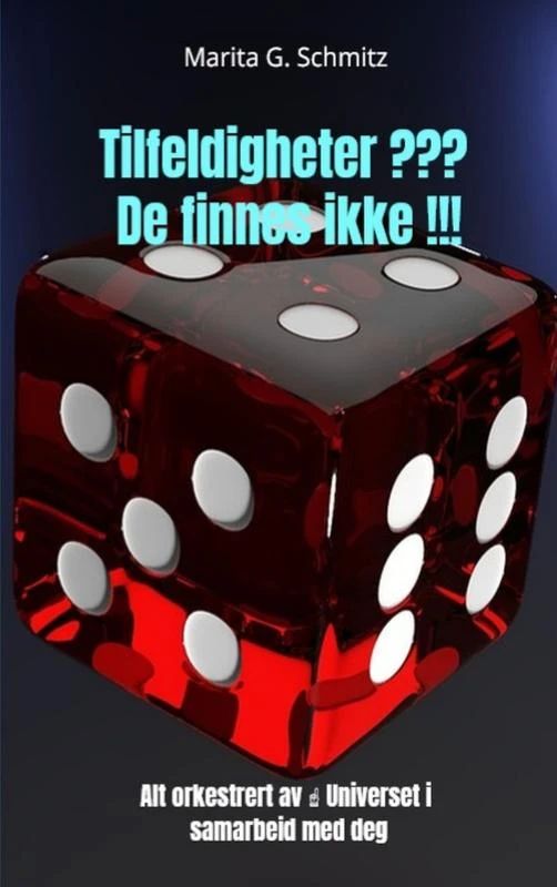 Tilfeldigheter ??? De finnes ikke !!! – Marita G. Schmitz – boek cover