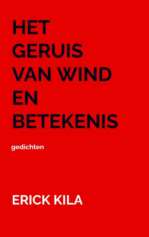 Het geruis van wind en betekenis – Erick Kila – boek cover