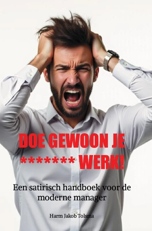 DOE GEWOON JE ******* WERK! – Harm Jakob Tolsma – boek cover