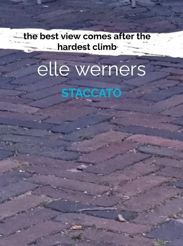 STACCATO – boek cover