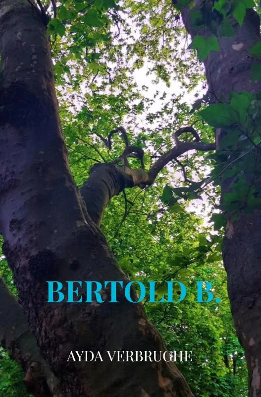 Bertold B. – Ayda Verbrughe – boek cover