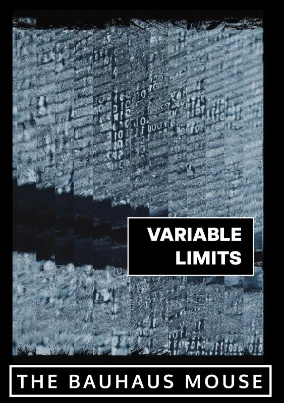 Variable Limits – Harish Pillai – boek cover