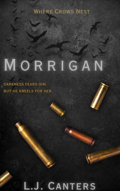 Morrigan – L.J. Canters – boek cover
