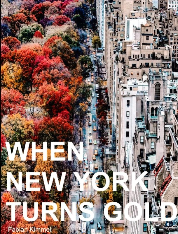 When New York Turns Gold – Fabian Kimmel – boek cover