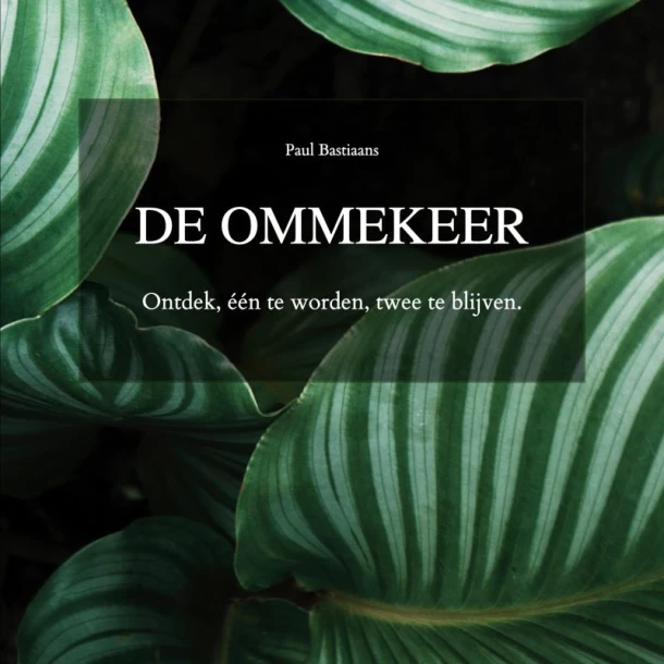 DE OMMEKEER – Paul Bastiaans – boek cover