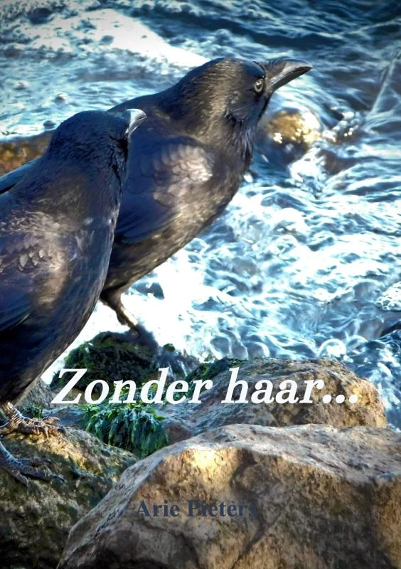Zonder haar... – Arie Pieters – boek cover