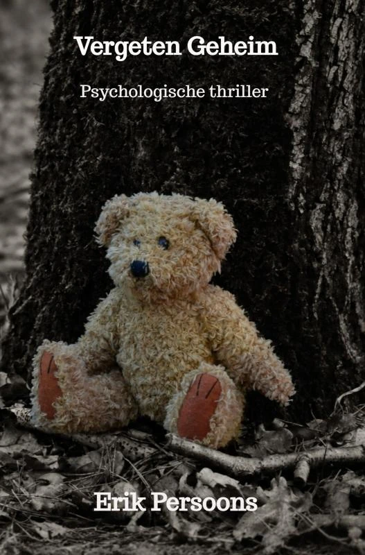 Vergeten Geheim – Erik Persoons – boek cover