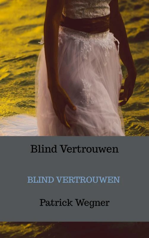Blind Vertrouwen – Patrick Wegner – boek cover