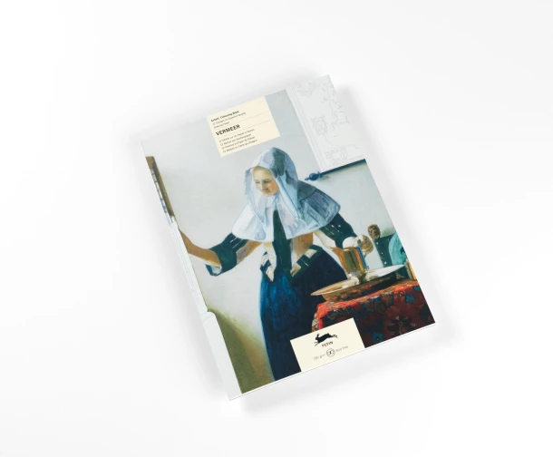 Vermeer – Pepin Van Roojen – boek cover