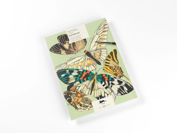 Butterflies – Pepin Van Roojen – boek cover