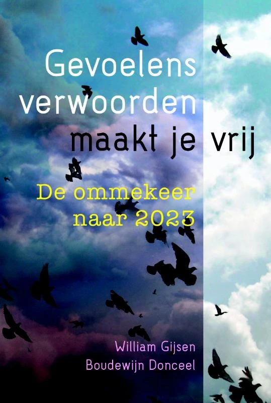 Gevoelens verwoorden maakt je vrij – William Gijsen – boek cover