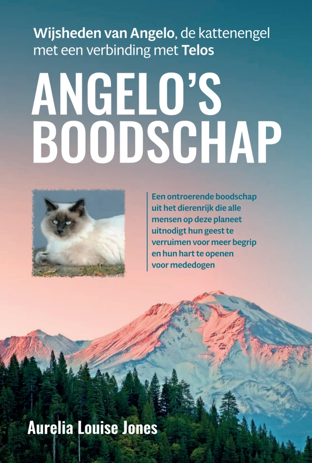 Angelo¿s boodschap – Aurelia Louise Jones – boek cover