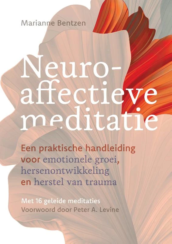 Neuroaffectieve meditatie – Marianne Bentzen – boek cover