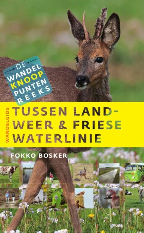 Tussen landweer & Friese waterlinie – Fokko Bosker – boek cover